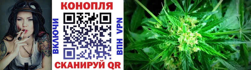 Шишки марихуана планчик Дегтярск